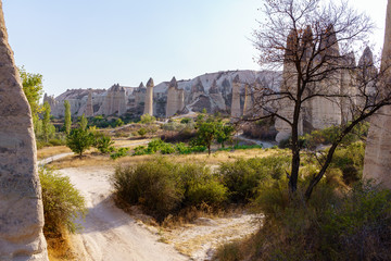 Fototapeta premium Valley in Cappadocia, Goreme, Turkey