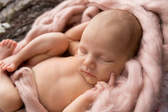 newborn child. little girl. newborn on a pink blanket. first photo shoot