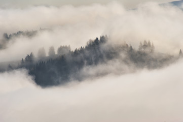 Obraz na płótnie Canvas autumn morning in the Carpathian mountains. scenic foggy dawn