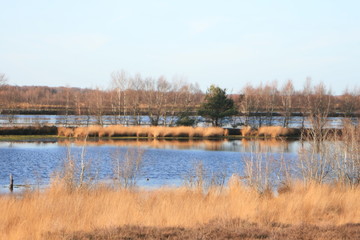 Moorlandschaft, Geestmoor.
