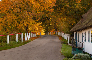 Naklejka premium autumn on the road