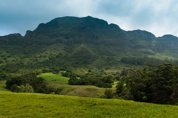Fototapeta premium Scenic view looking up at a lush mountainous hillside on the tropical island of Kauai, Hawaii, USA
