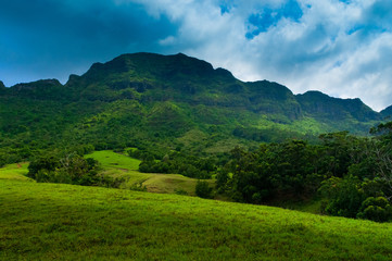 Scenic view looking up at a lush mountainous hillside on the tropical island of Kauai, Hawaii, USA