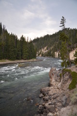 YELLOWSTONE RIVER YELLOWSTONE NATIONAL PARK (WYOMING) USA
