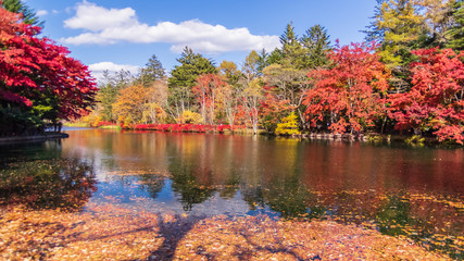 紅葉の雲場池