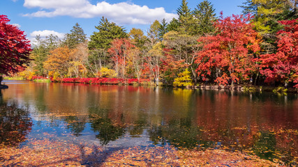 紅葉の雲場池