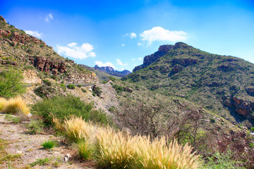 View of the landscape on the way to the top of Mopunt Lemmon in Arizona