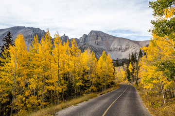 Winding road to Wheeler Peak through autumn colors of yellow aspen trees