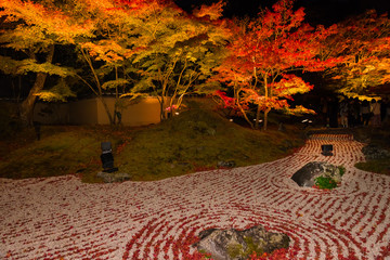 紅葉でライトアップされた宮城円通院石庭