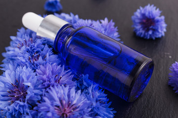 essential oil of cornflower on a dark stone background