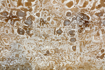 Alkaline stains on cement walls