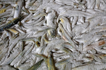 Frozen small fish