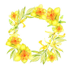 Easter wreath with yellow forsythia. Square border. Watercolor illustration on white background.