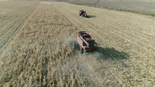 Combine Harvesting Corn in Autumn Aerial