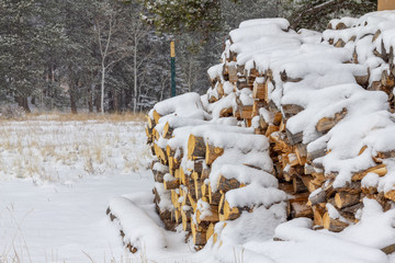 Stacked firewood with snow on top