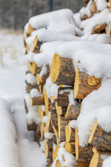 Stacked firewood with snow on top