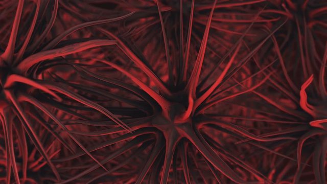 Animation of the movement of the virus under a microscope in the blood