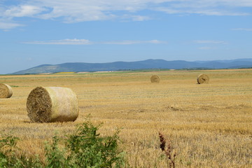 Karjobraz po żniwach © Anna