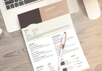 Resume Layout with Tan Accents