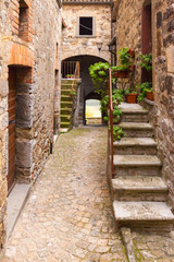 Fototapeta na wymiar alley of an ancient medieval village