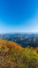 軽井沢の見晴台　秋