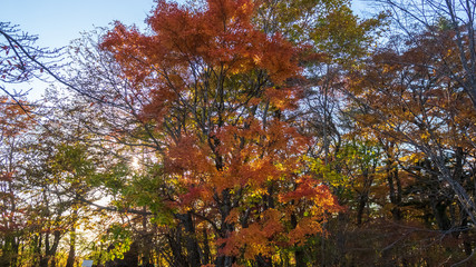 軽井沢の見晴台　秋