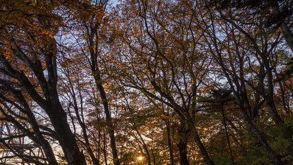 軽井沢の見晴台　秋