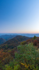 軽井沢の見晴台　秋