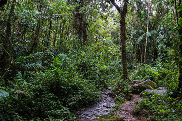 Cammino al vulcano Santa Isabela, Colombia