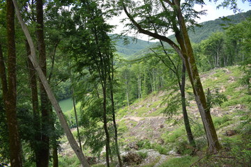 Jezioro w dolinie Szalajki