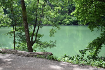 Jezioro w dolinie Szalajki