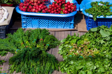 Fototapeta na wymiar Background of fresh green different vegetables