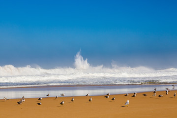 Fototapeta na wymiar Waves of surf stormy Atlantic near Safi