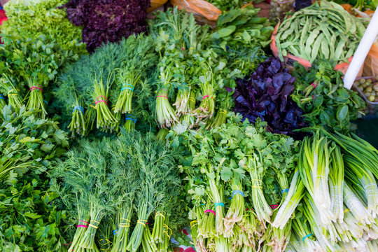 Background of  fresh green different vegetables