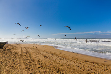 Waves of surf stormy Atlantic near Safi