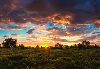 Fototapeta na wymiar Summer cloudy sunset over the steppe lower field. Steppe flower land and bright sunset.