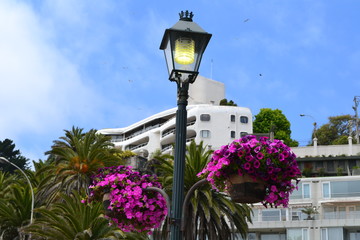 Buildings of Viña del Mar