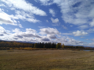 Fototapeta premium Nature in the autumn afternoon.