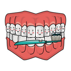 cartoon dental care denture cartoon