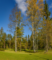Museum-reserve 