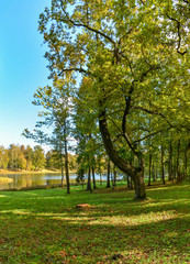 Museum-reserve "Gatchina" Sunny autumn day. Palace and Park ensemble in Gatchina appeared during the reign of Empress Catherine II.