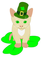 St. Patricks Day cat with green hat and shamrock