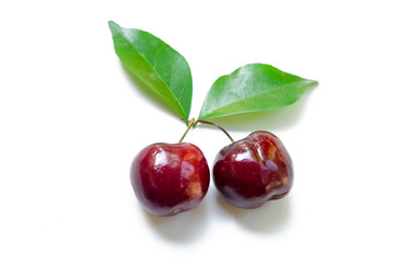 Cherries on white background
