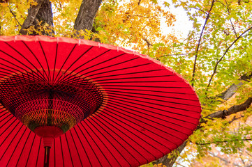 小諸城址懐古園紅葉まつり