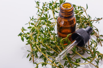 essential oil of thyme on a white background