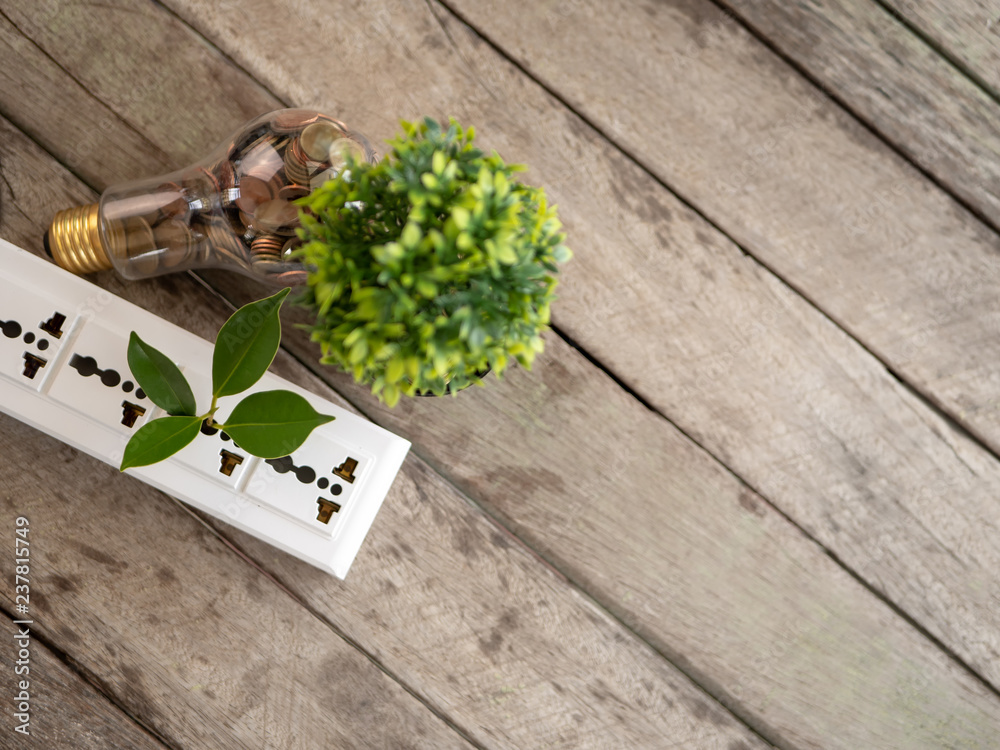 Wall mural top view light bulb with coin and tree on wood table. concept of cost reduction and reduce energy. t