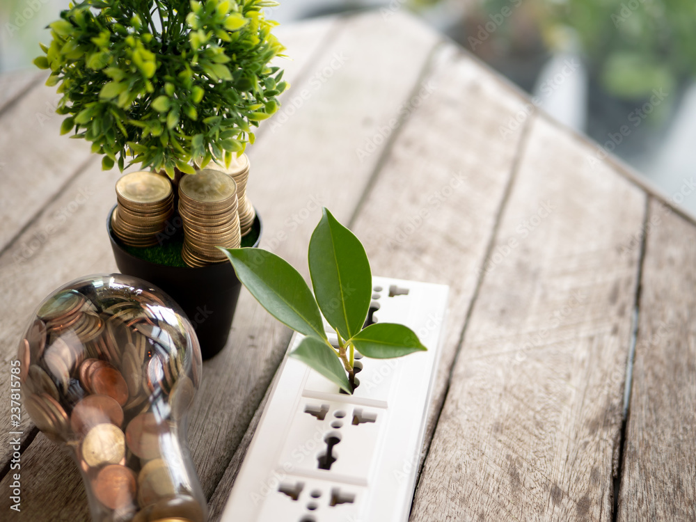 Wall mural top view light bulb with coin and tree on wood table. concept of cost reduction and reduce energy. t