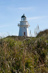 A lighthouse on a hill at Waipapa Point in the Catlins in the South Island in New Zealand