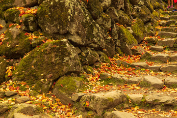 小諸城址懐古園紅葉まつり