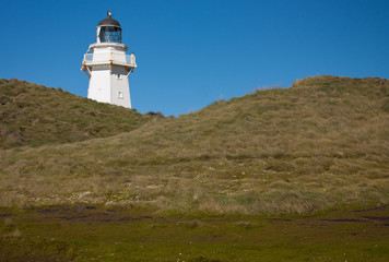 Fototapeta na wymiar A lighthouse on a grassy hill at Waipapa Point in the Catlins in the South Island in New Zealand